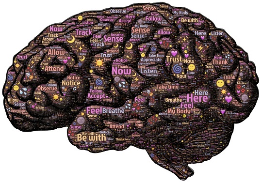 Cerebro